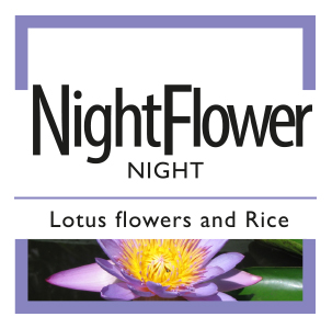 NightFlower - Night - Lotus flowers and Rice
